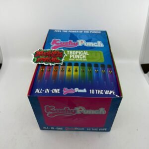 Kushy Punch 1G Disposable