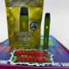 Kushy Punch 1G Disposable
