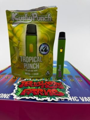 Kushy Punch 1G Disposable