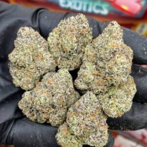 Sweetz Exotic Sushi Bar Edition