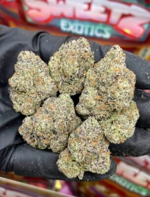 Sweetz Exotic Sushi Bar Edition